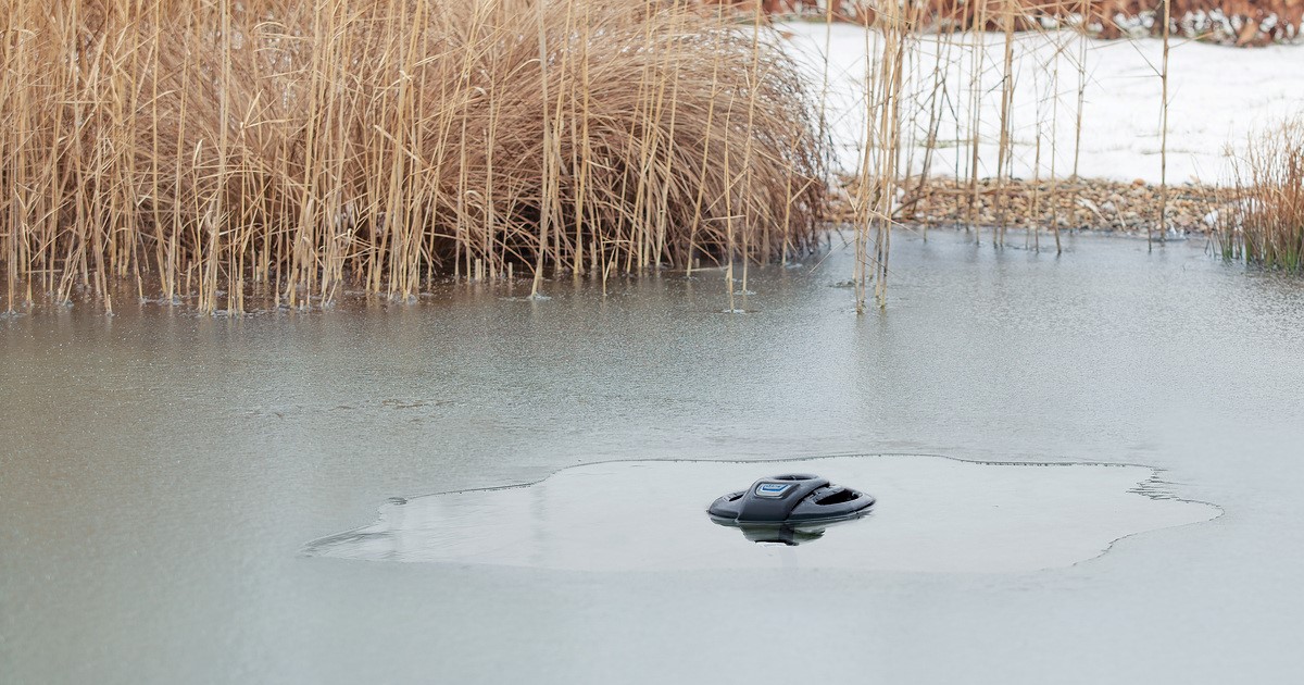 Vijver winterklaar maken: 6 onmisbare stappen