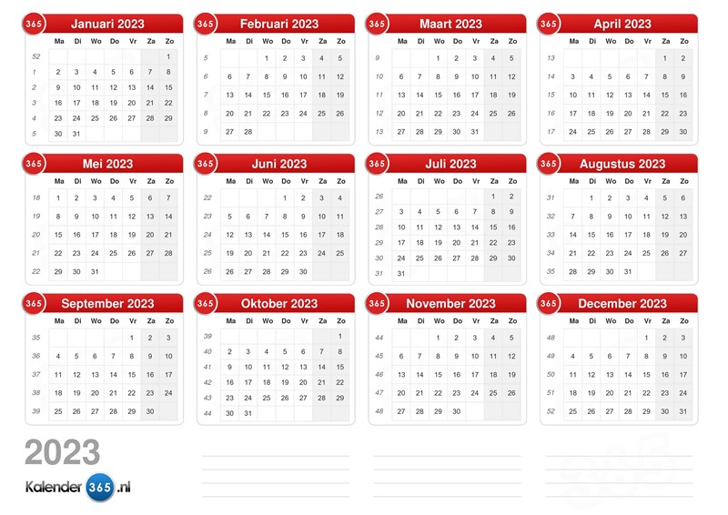 Vijverkalender: wat moet je wanneer doen?