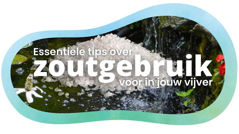 Essentiële tips over zoutgebruik voor in jouw vijver