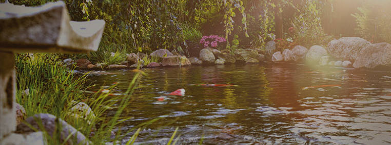 Belangrijke waterwaardes Koivijver