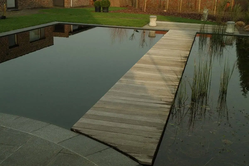 Een zwemvijver in de tuin: alle voor- en nadelen op een rij